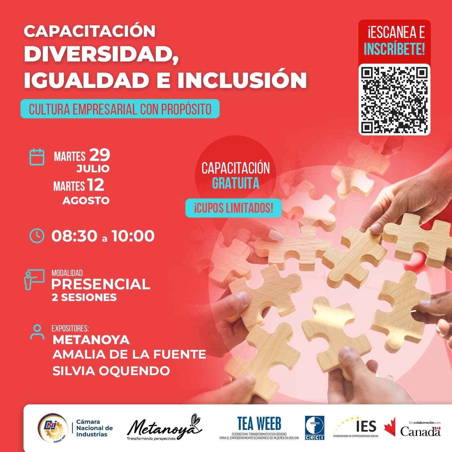 CAPACITACIÓN DIVERSIDAD, IGUALDAD E INCLUSIÓN